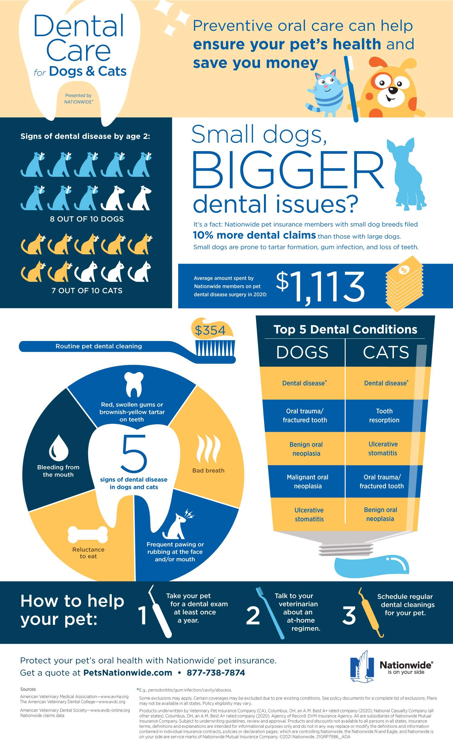 Routine Dental Care Protects Pet’s Health and Saves Money - The HR Pet ...